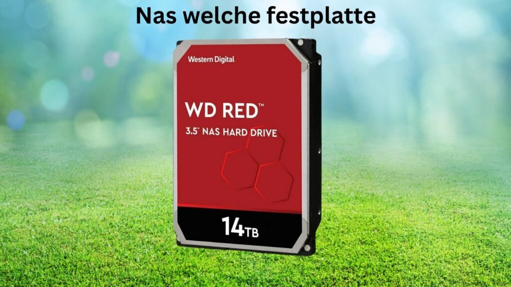 nas welche festplatte